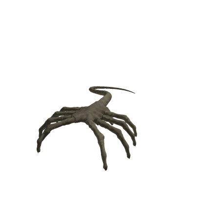 face hugger.glb