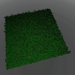 the forest