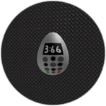 366 Egg
