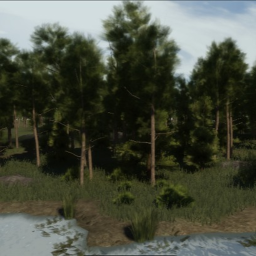 Lost in the forest