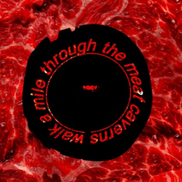 Walk a Mile Through The Meat Caverns