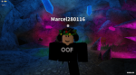 MARCEL 3 Team
