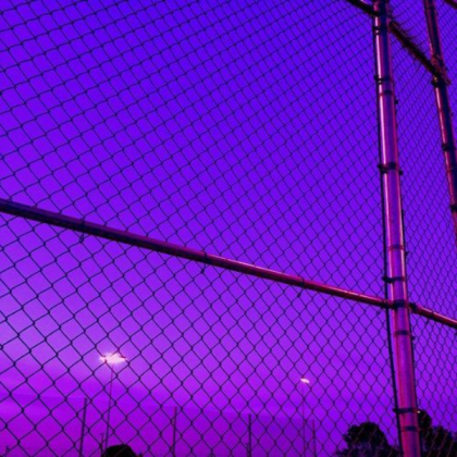 purple aesthetic Roblox decal