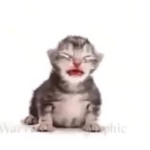 coobu