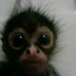 cutie pie baby’s:3