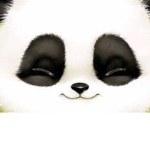 Panda gang is the best