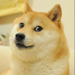DoGGo Offical