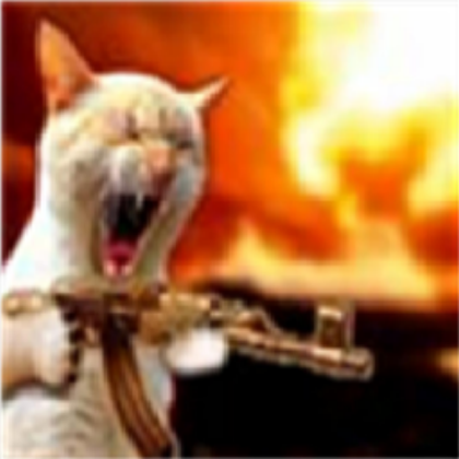 the cat! Roblox decal