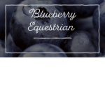 ~Blueberry~ ~Equestrian~