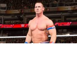 wrestling simulator