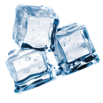 Project Zero Degrees