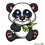 dhcash