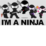 ######## Ninja Squad