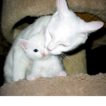 cute and sweet