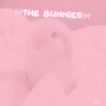 ୨୧the bunnies ୨୧