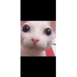 d4wn.