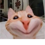 Matieral_grells