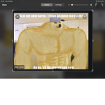the doge marins