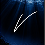 Vaqula