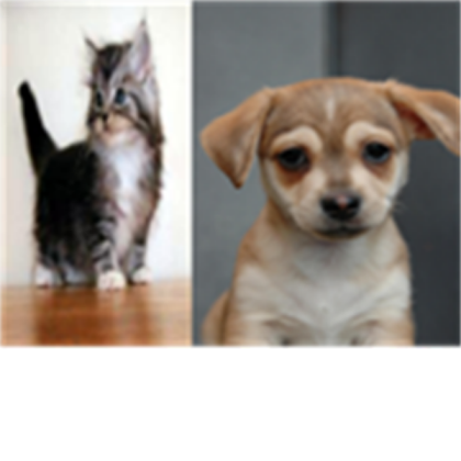 cute animals Roblox decal