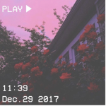 S A V A G E. A E S T H E T I C S