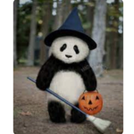 Only people that like panda’s can join