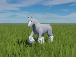 V1!  Woodland Springs Equestrian.