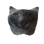 kot