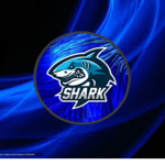 Team 's Shark