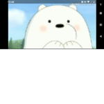 Cookiebearplayz