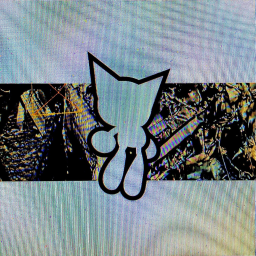 ⋆.˚✮🎧✮˚.⋆