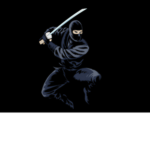 Extreme Ninja Master