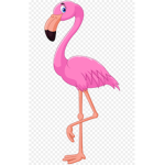 Flamingo 4 Flockers