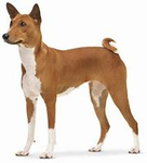 The people of dogs vill