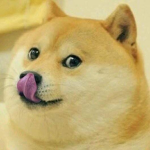 Los Doges Group Thumbnail