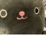 Cat_army :)