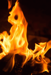 Official Flame Development