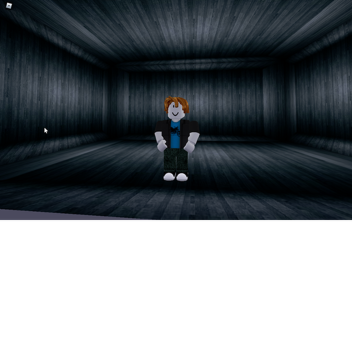 Club simulator