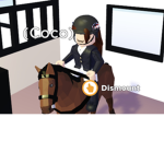 Rainbow riding academy