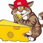 Cheese cat gang