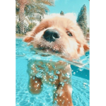 Super Cagnolini