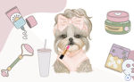ITS PREPPY TIME!