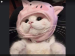 <3mood