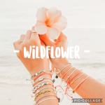 - Wildflower -