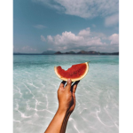 -summer shop!-