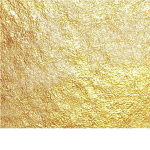 GOLD GUN SKIN ONLY