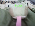 Beast you like