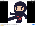 Ninja buddys