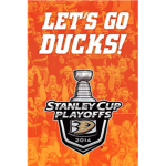 Anaheim Ducks hockey!