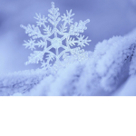 ~ Snowy Team ~
